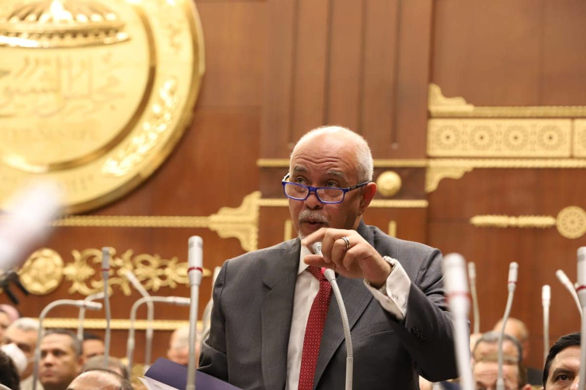 حازم الجندي يقترح إنشاء صندوق معاش للمصريين العاملين في الخارج